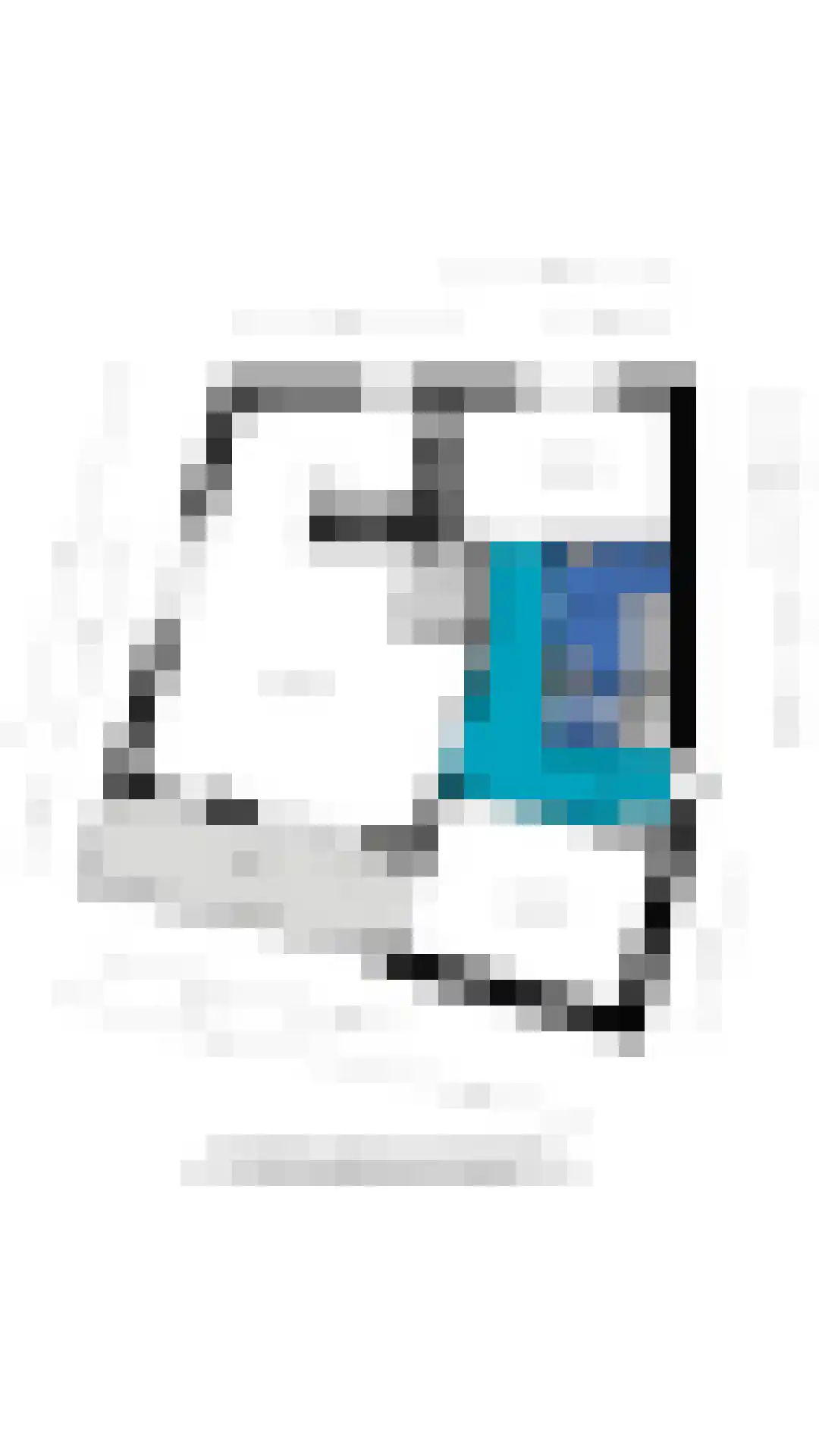 Liguster 14 Tiel thumbnail 31