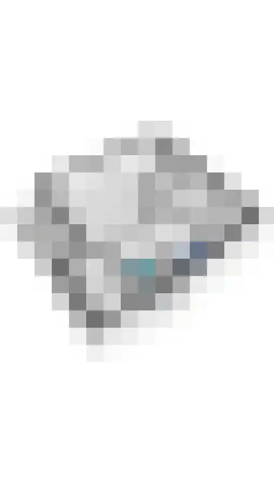 Liguster 14 Tiel thumbnail 32