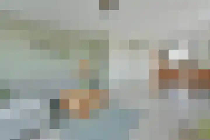 Liguster 18 Nieuwveen thumbnail 10