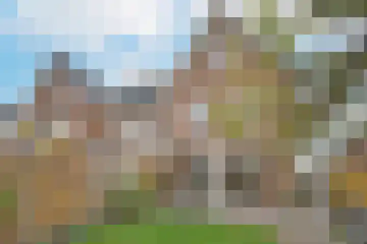 Liguster 18 Nieuwveen thumbnail 27