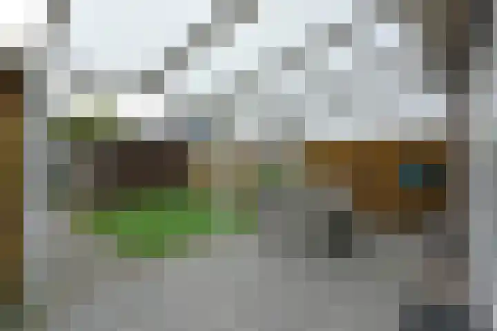 Liguster 18 Nieuwveen thumbnail 28