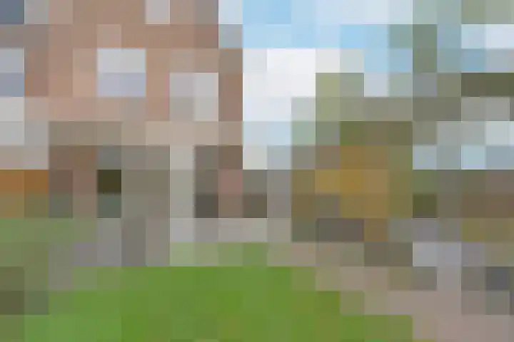 Liguster 18 Nieuwveen thumbnail 30