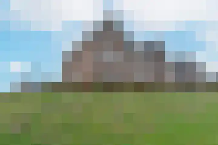 Liguster 18 Nieuwveen thumbnail 31