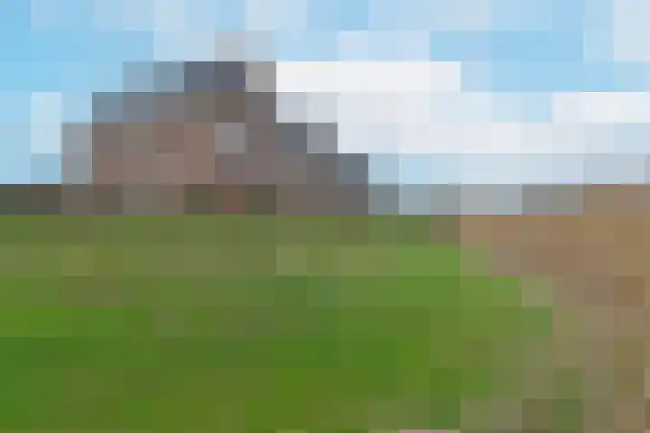 Liguster 18 Nieuwveen thumbnail 32