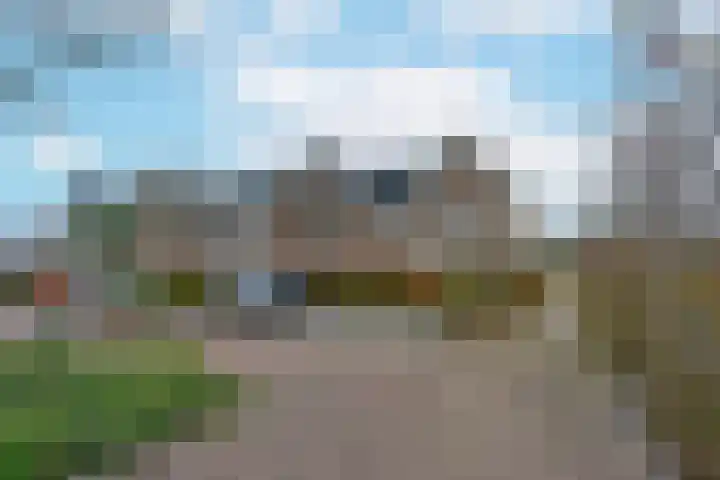 Liguster 18 Nieuwveen thumbnail 33