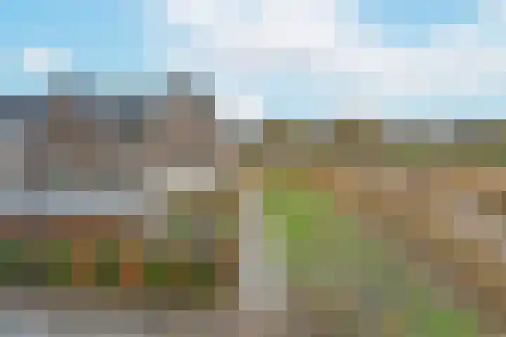 Liguster 18 Nieuwveen thumbnail 34