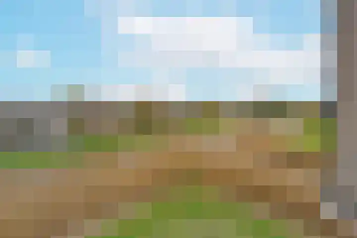 Liguster 18 Nieuwveen thumbnail 35