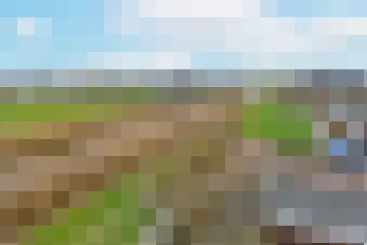 Liguster 18 Nieuwveen thumbnail 36