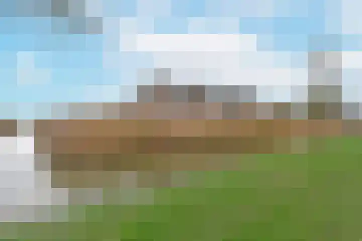 Liguster 18 Nieuwveen thumbnail 37