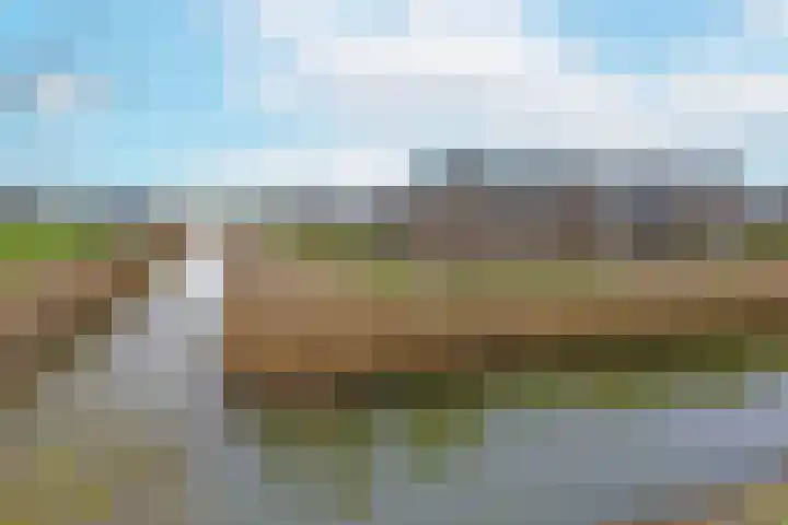 Liguster 18 Nieuwveen thumbnail 38