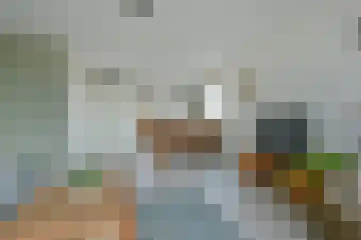Liguster 18 Nieuwveen thumbnail 4