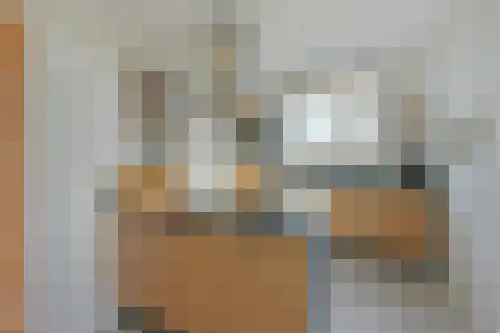 Liguster 18 Nieuwveen thumbnail 5