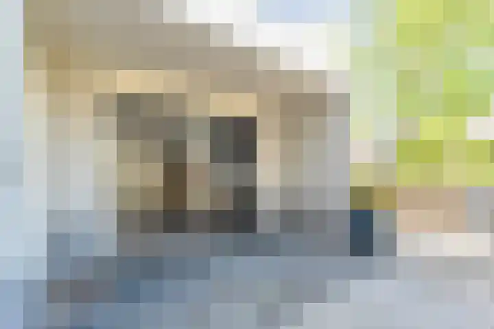 Liguster 22 Coevorden thumbnail 18