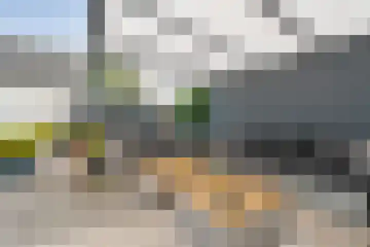 Liguster 22 Coevorden thumbnail 21