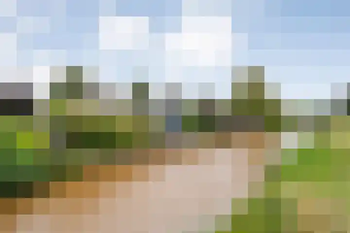 Liguster 22 Coevorden thumbnail 24