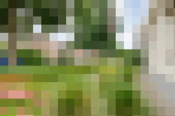 Liguster 22 Coevorden thumbnail 26