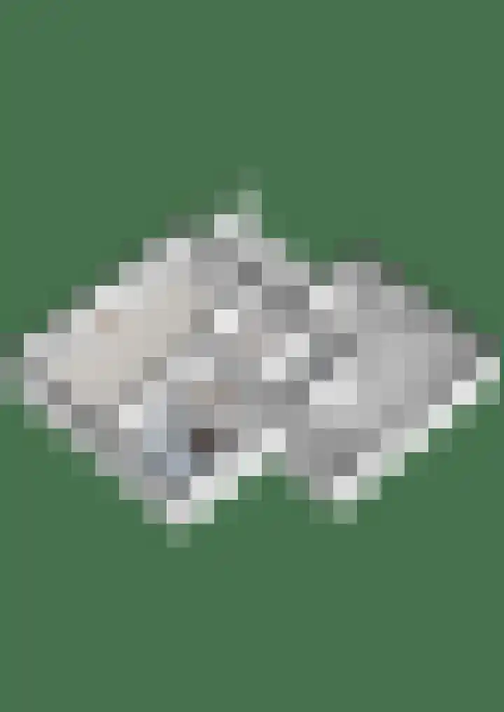 Liguster 22 Coevorden thumbnail 28