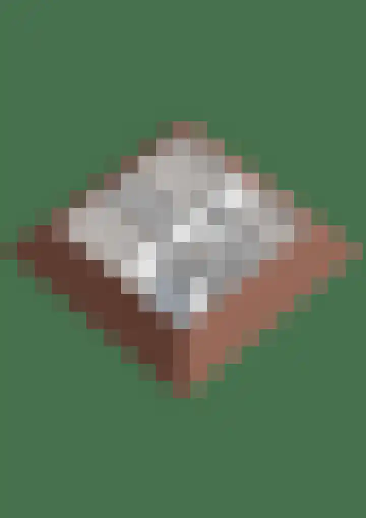 Liguster 22 Coevorden thumbnail 30