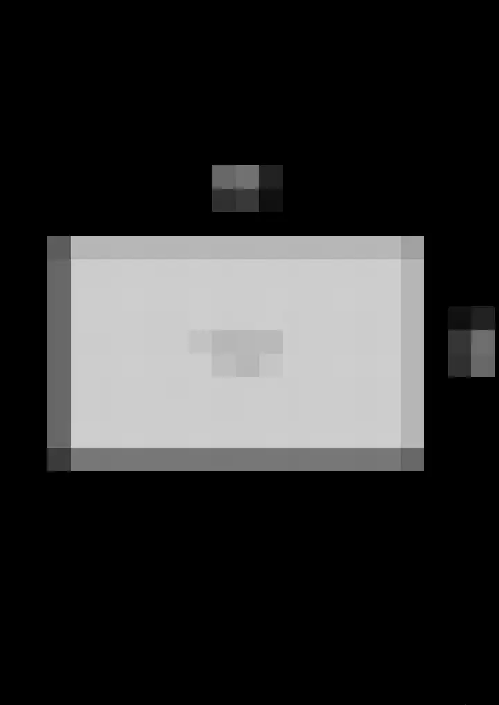 Liguster 22 Coevorden thumbnail 31