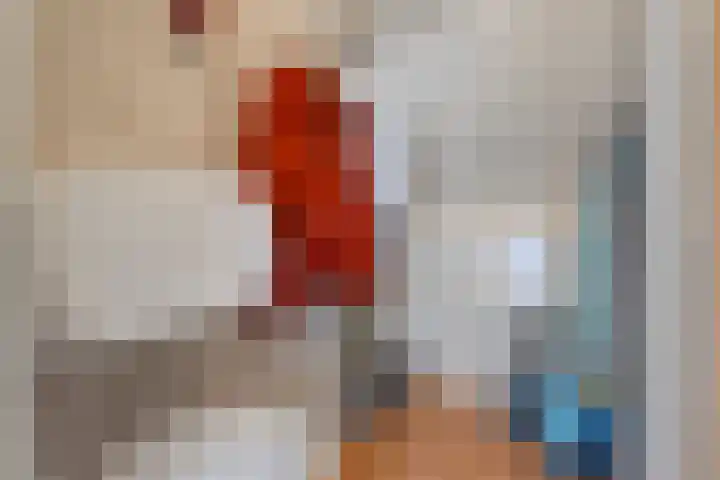 Liguster 22 Coevorden thumbnail 5