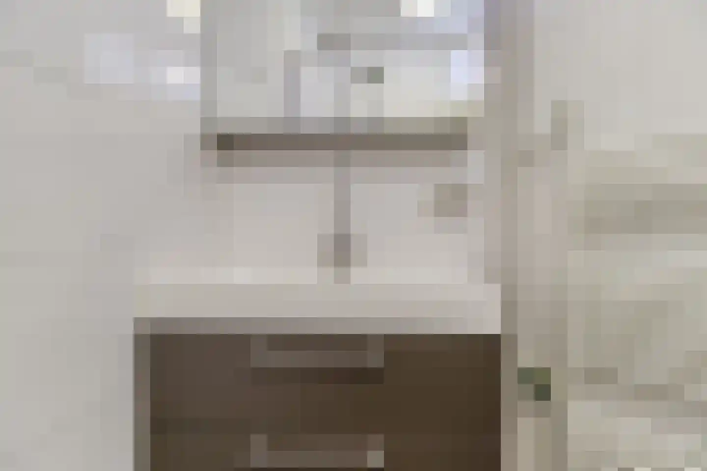 Liguster 22 Nieuwvliet thumbnail 14