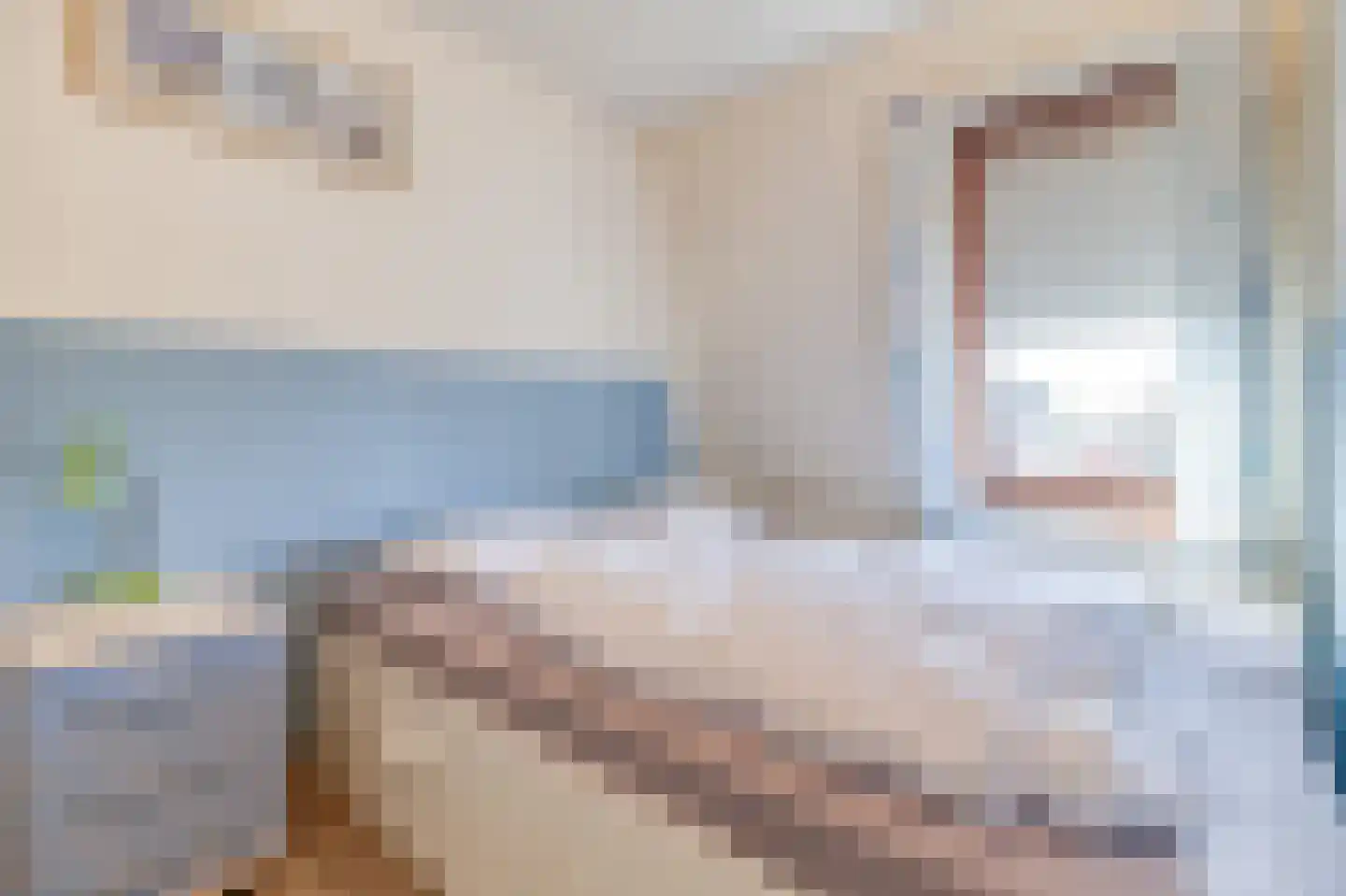 Liguster 22 Nieuwvliet thumbnail 19