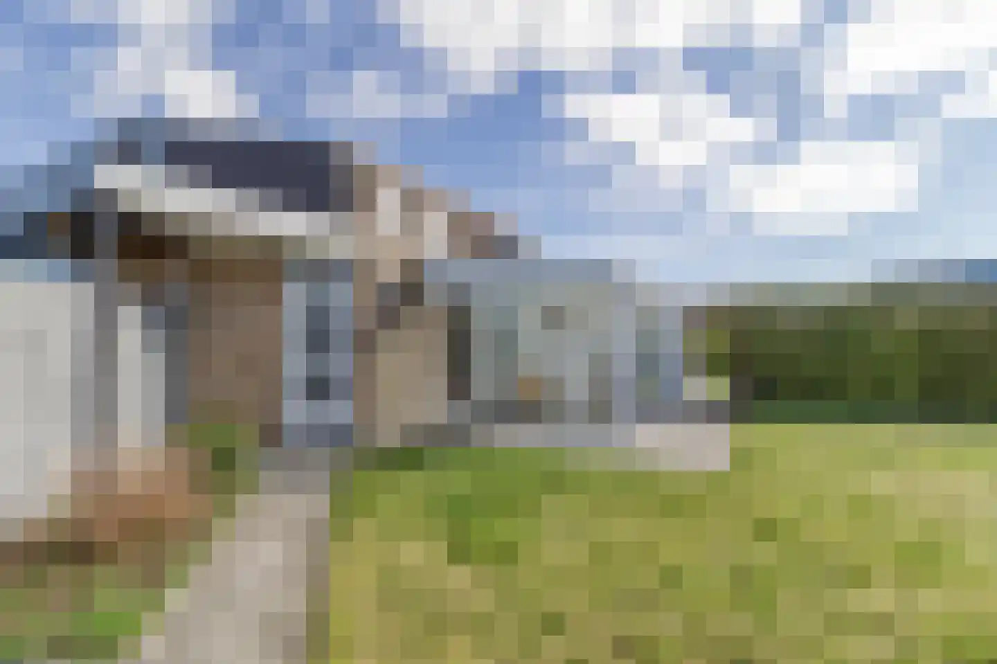 Liguster 22 Nieuwvliet thumbnail 22
