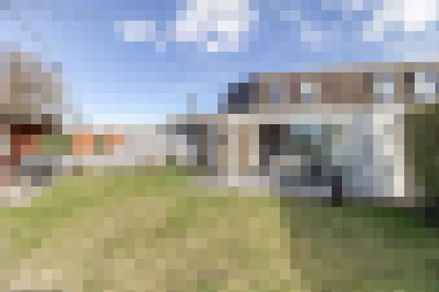 Liguster 22 Nieuwvliet thumbnail 23