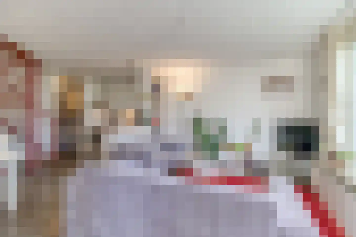 Liguster 22 Nieuwvliet thumbnail 5