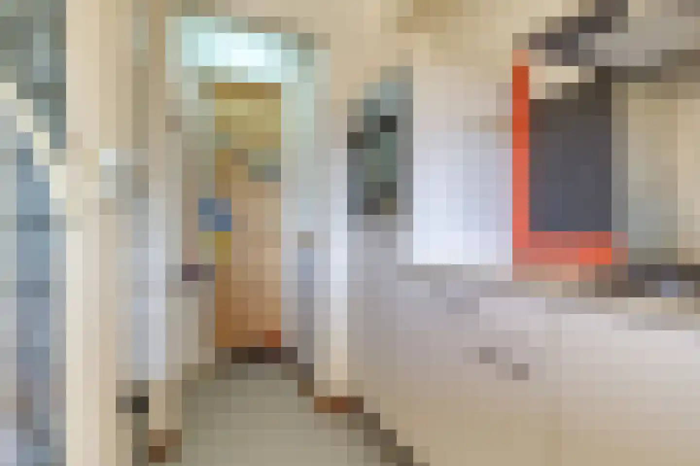 Liguster 26 Nieuwvliet thumbnail 11