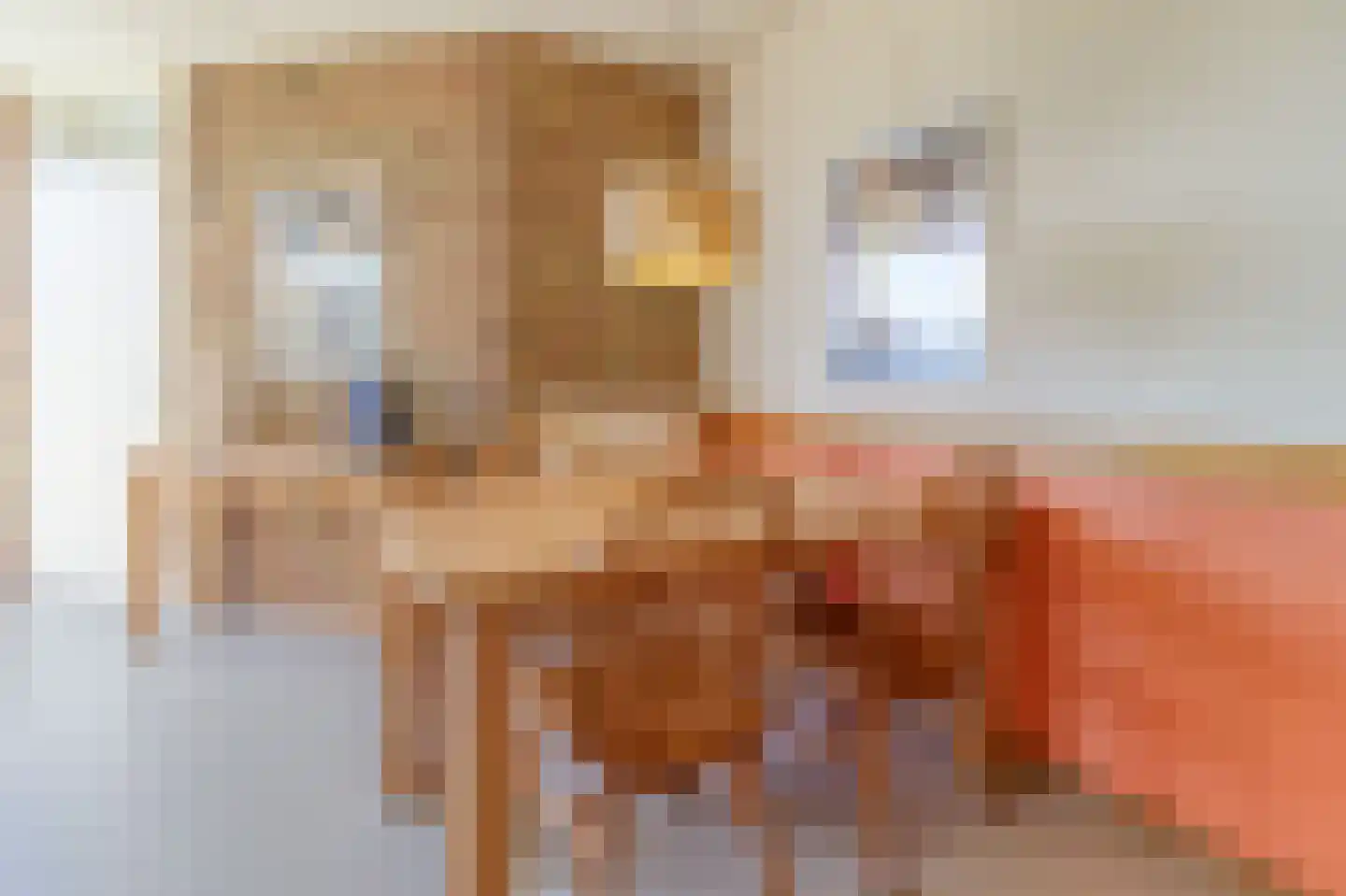 Liguster 26 Nieuwvliet thumbnail 12