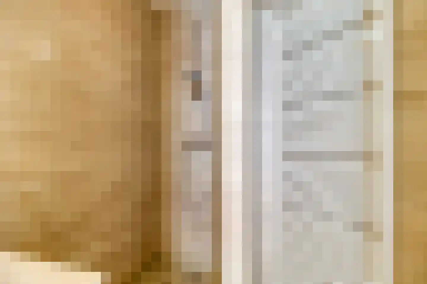 Liguster 26 Nieuwvliet thumbnail 14