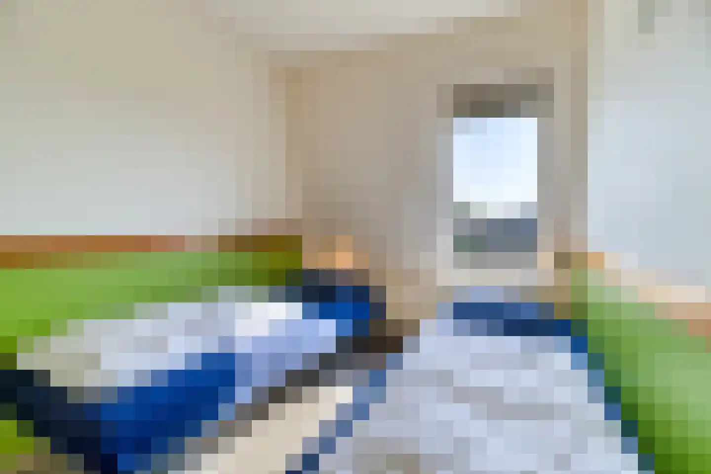 Liguster 26 Nieuwvliet thumbnail 20