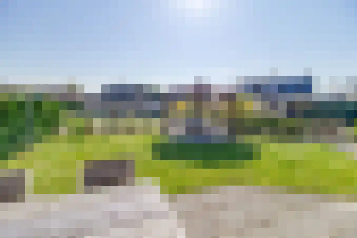 Liguster 26 Nieuwvliet thumbnail 24