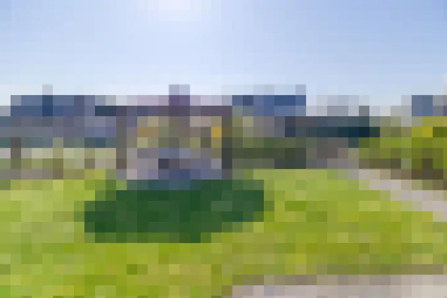 Liguster 26 Nieuwvliet thumbnail 25