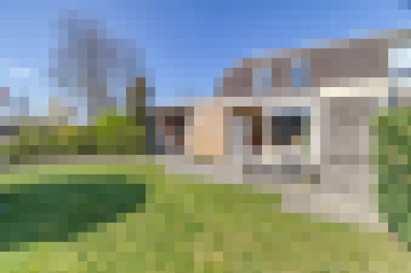 Liguster 26 Nieuwvliet thumbnail 26