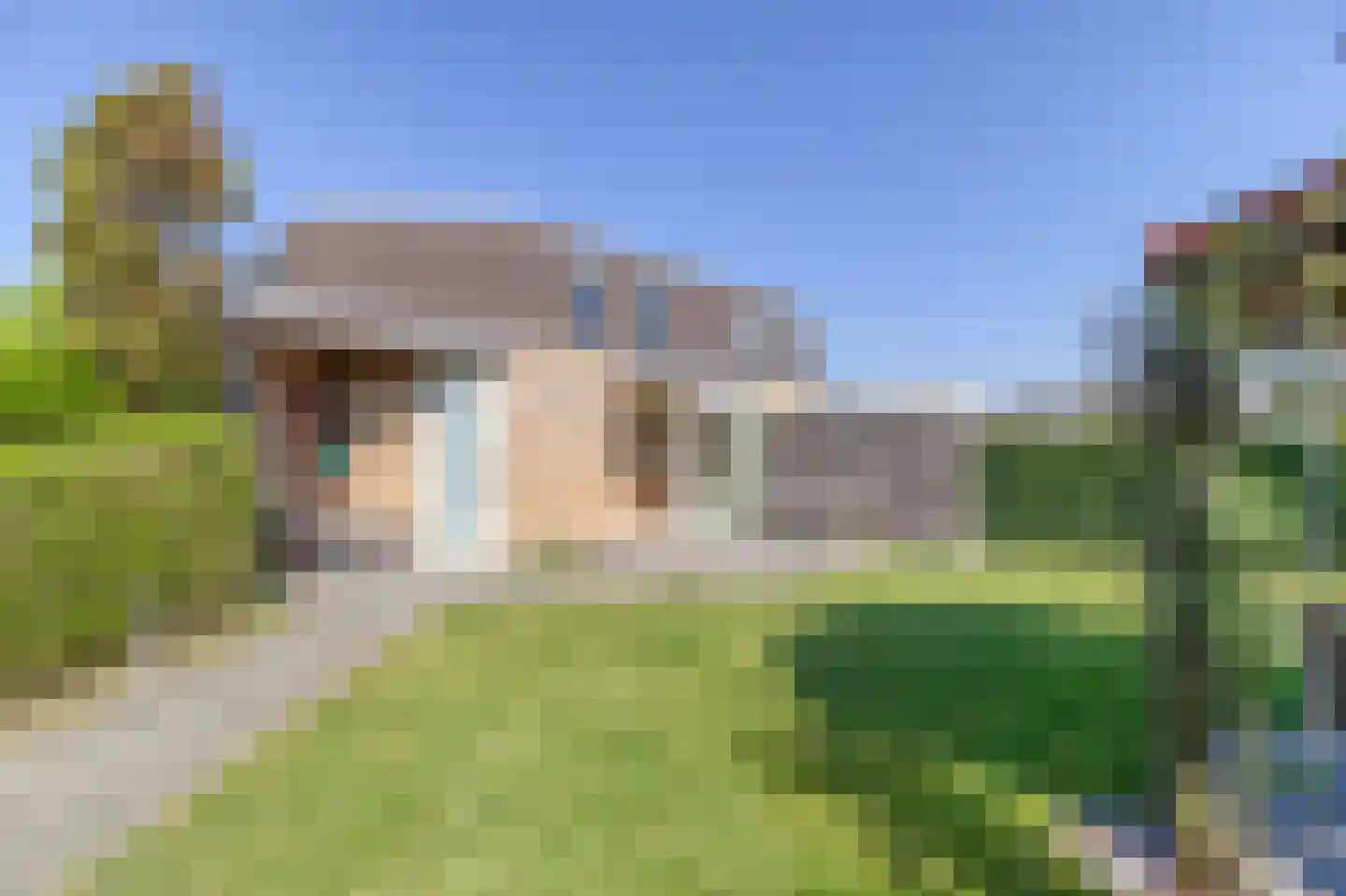 Liguster 26 Nieuwvliet thumbnail 28