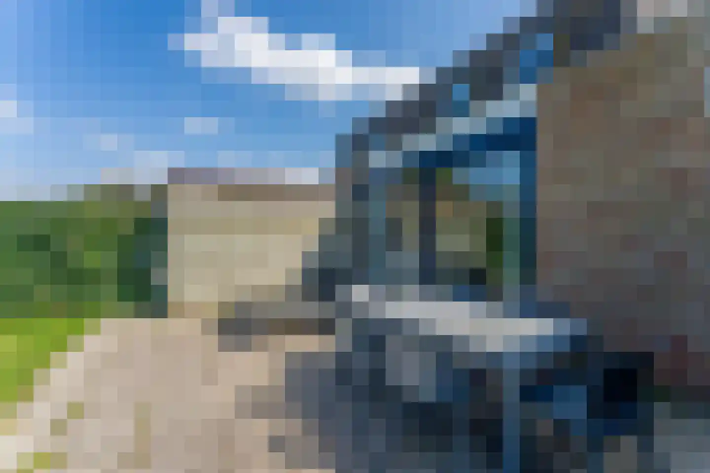 Liguster 50 Nieuwvliet thumbnail 10