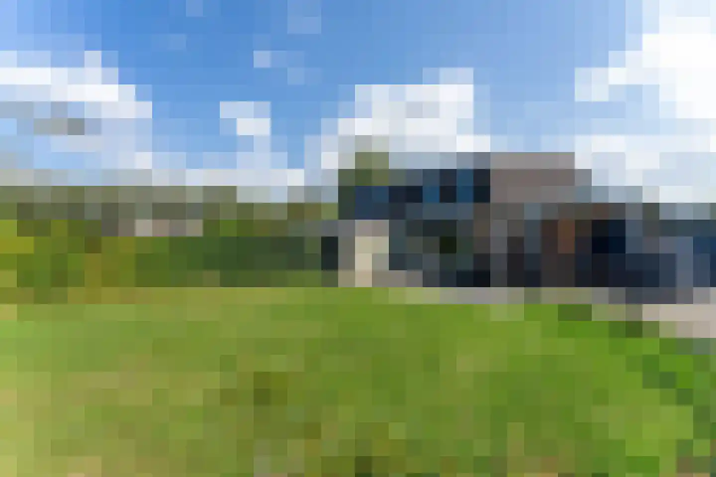 Liguster 50 Nieuwvliet thumbnail 7