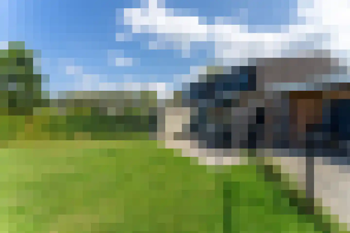 Liguster 50 Nieuwvliet thumbnail 8