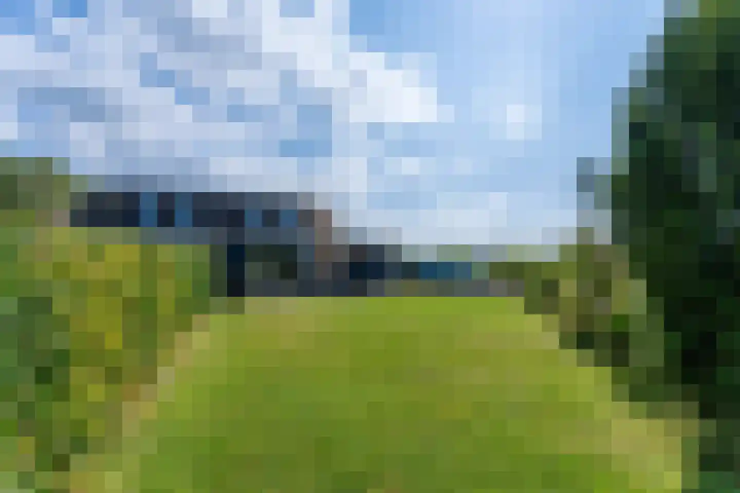 Liguster 50 Nieuwvliet thumbnail 9