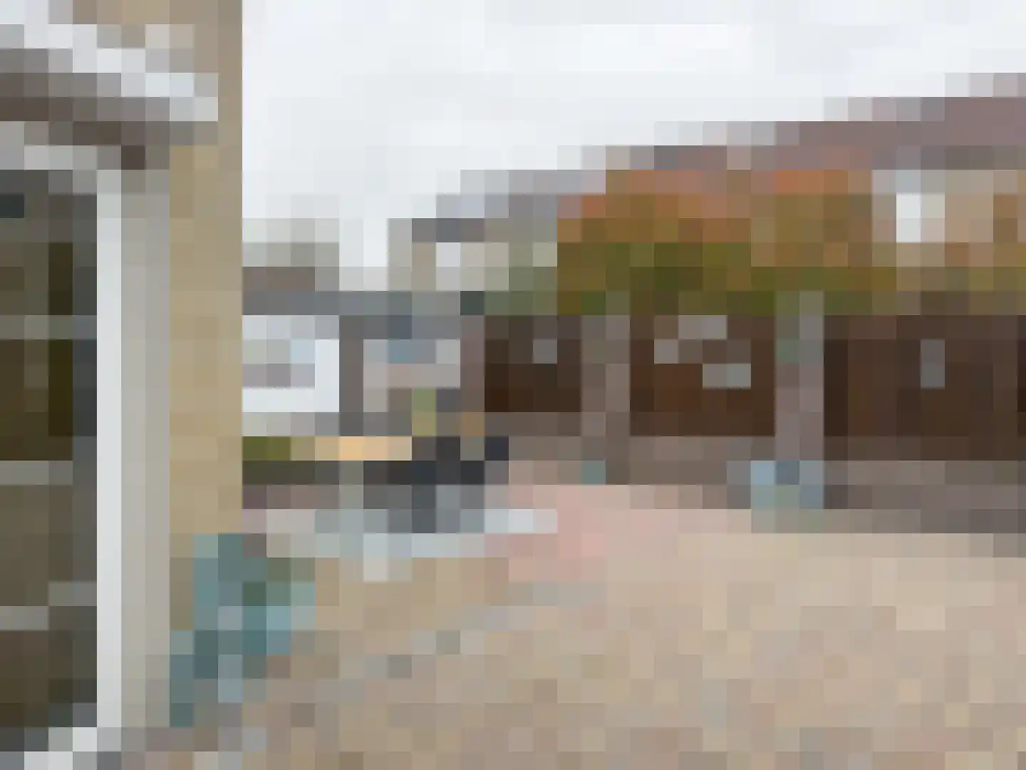 Liguster 7 Brunssum thumbnail 27