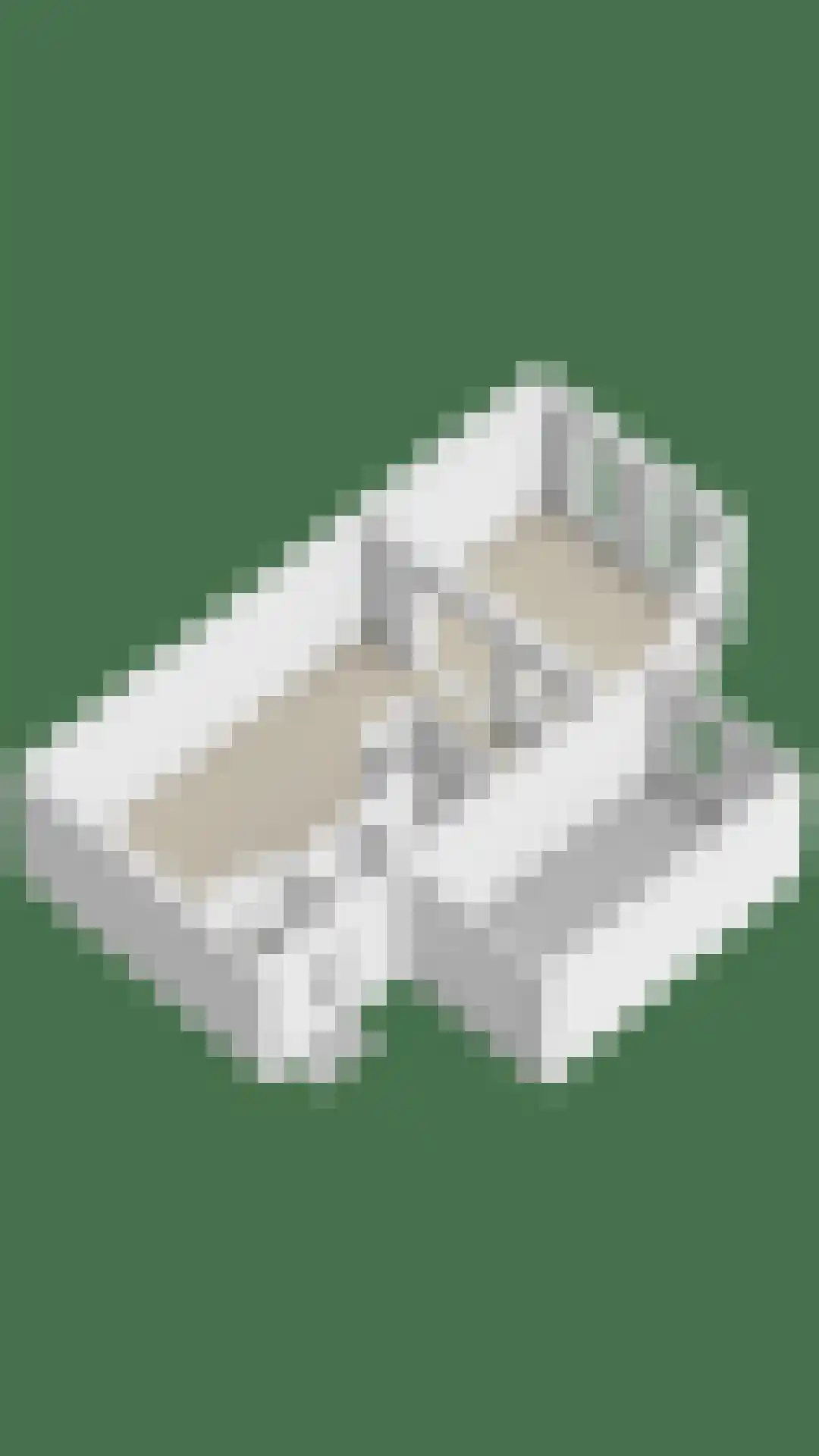 Liguster 7 Brunssum thumbnail 30