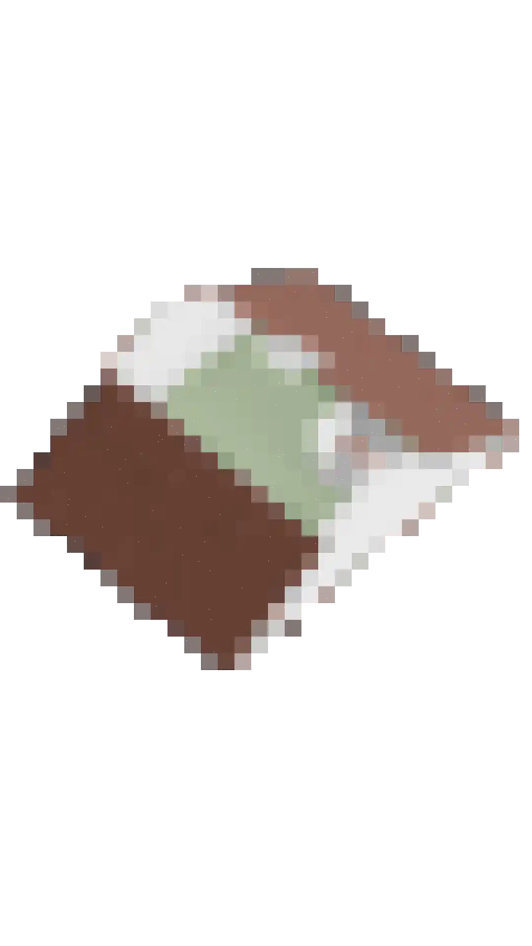 Liguster 7 Brunssum thumbnail 33