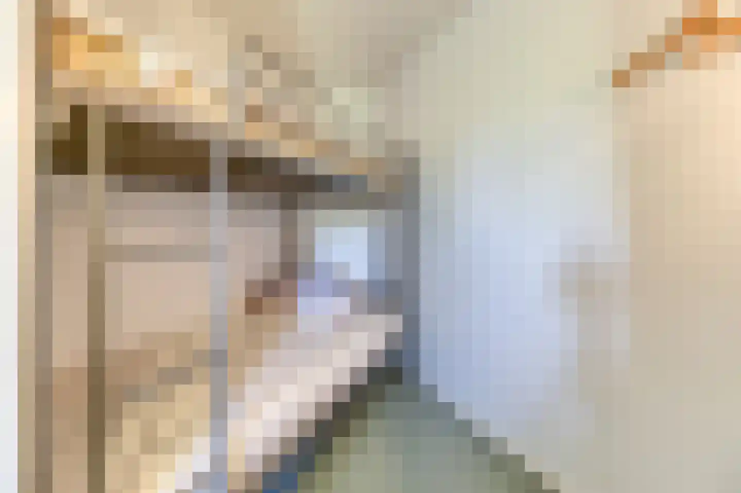 Liguster 77 Nieuwvliet thumbnail 22