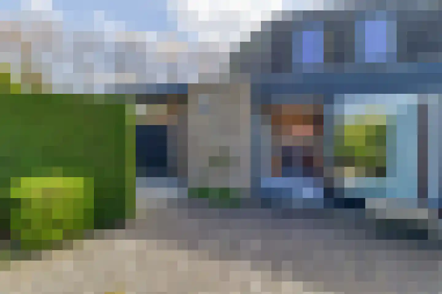 Liguster 77 Nieuwvliet thumbnail 23