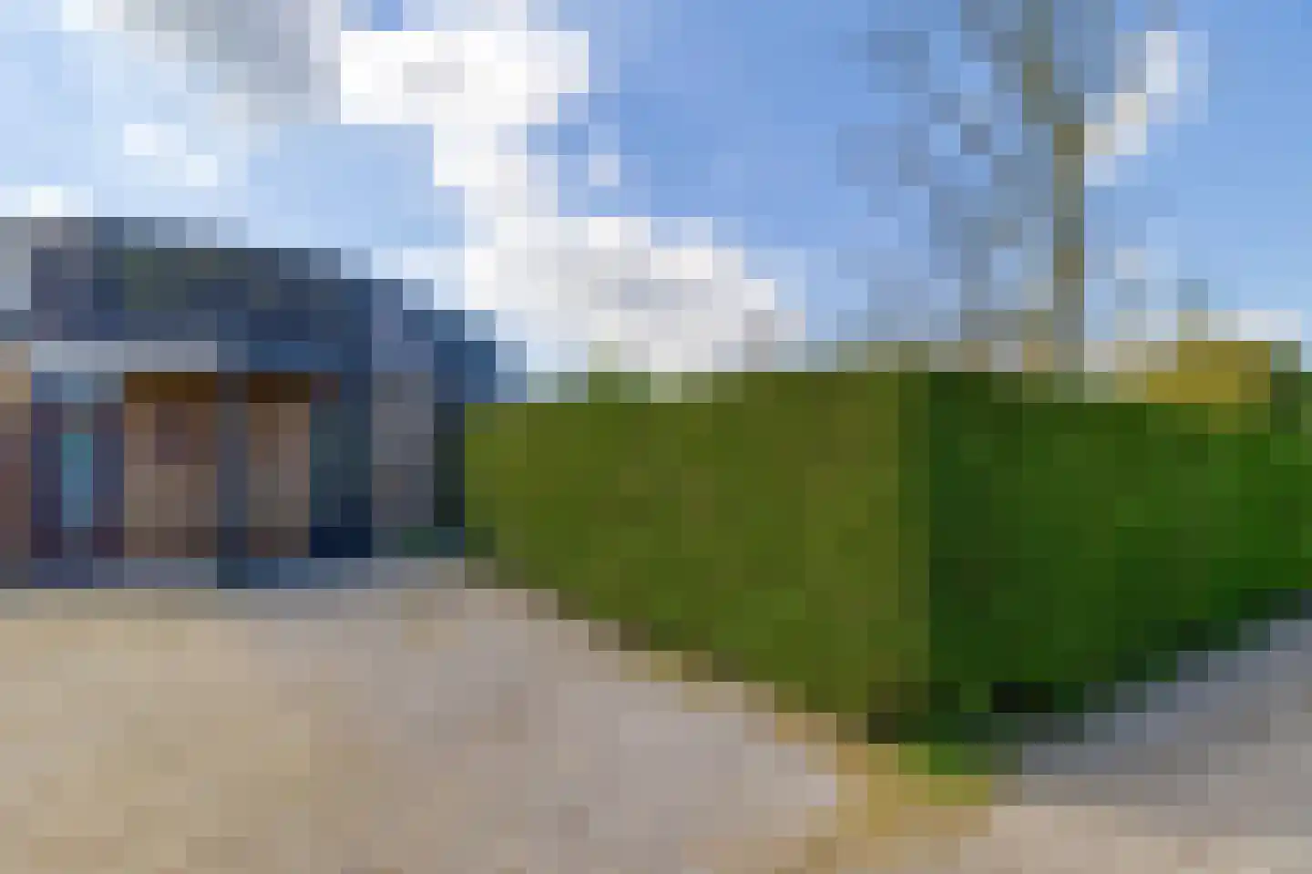 Liguster 77 Nieuwvliet thumbnail 24