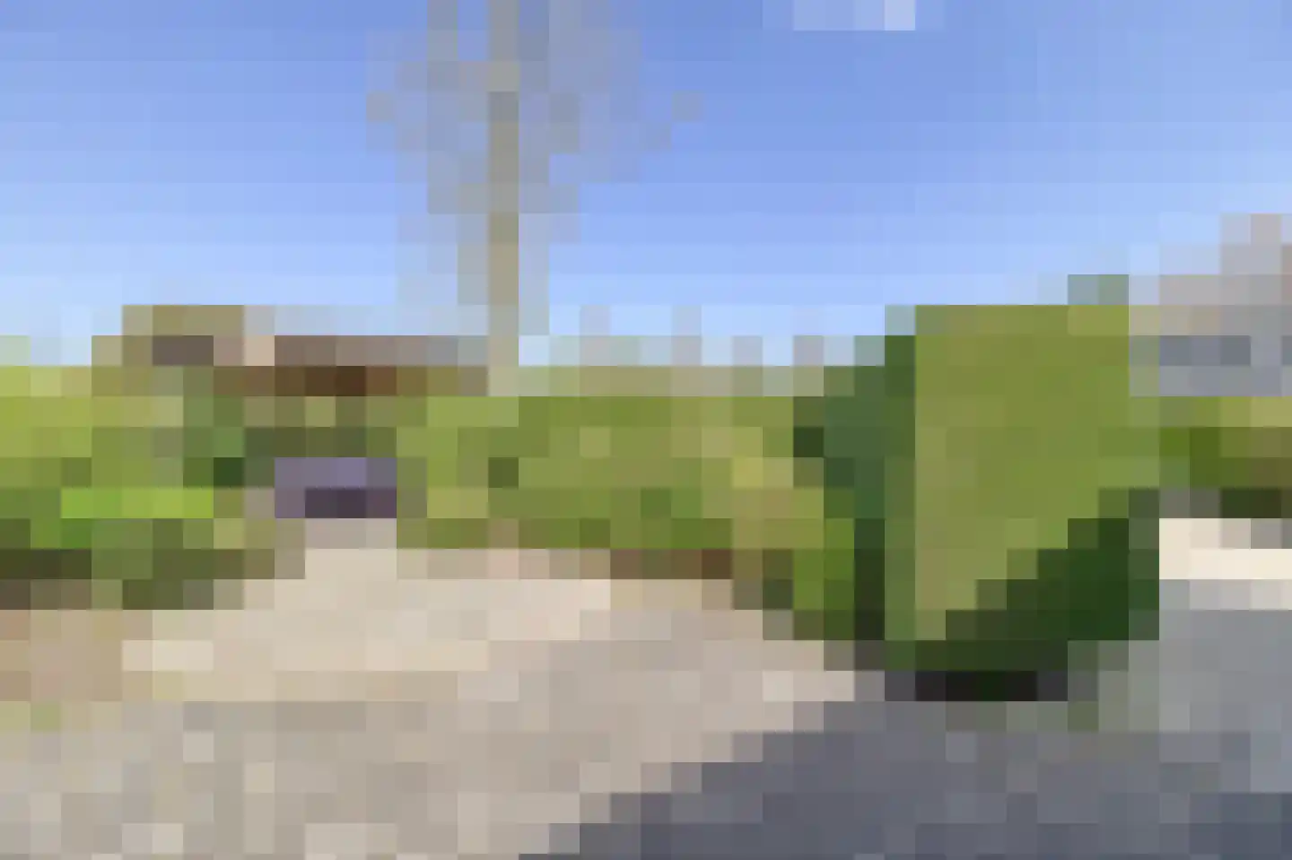 Liguster 77 Nieuwvliet thumbnail 25