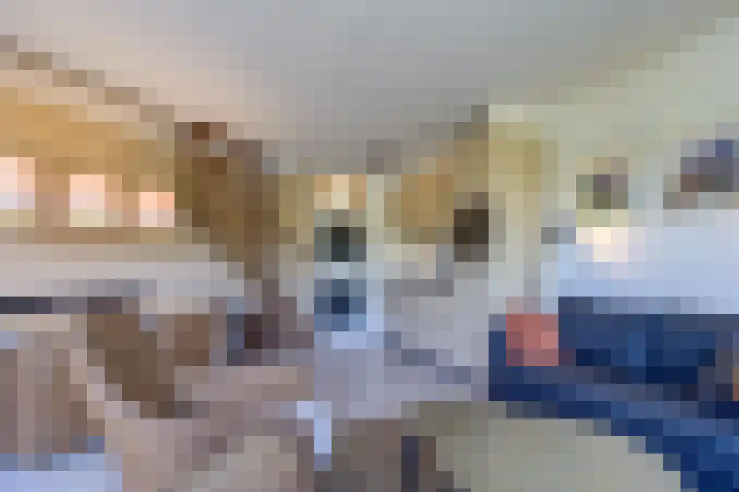 Liguster 77 Nieuwvliet thumbnail 7