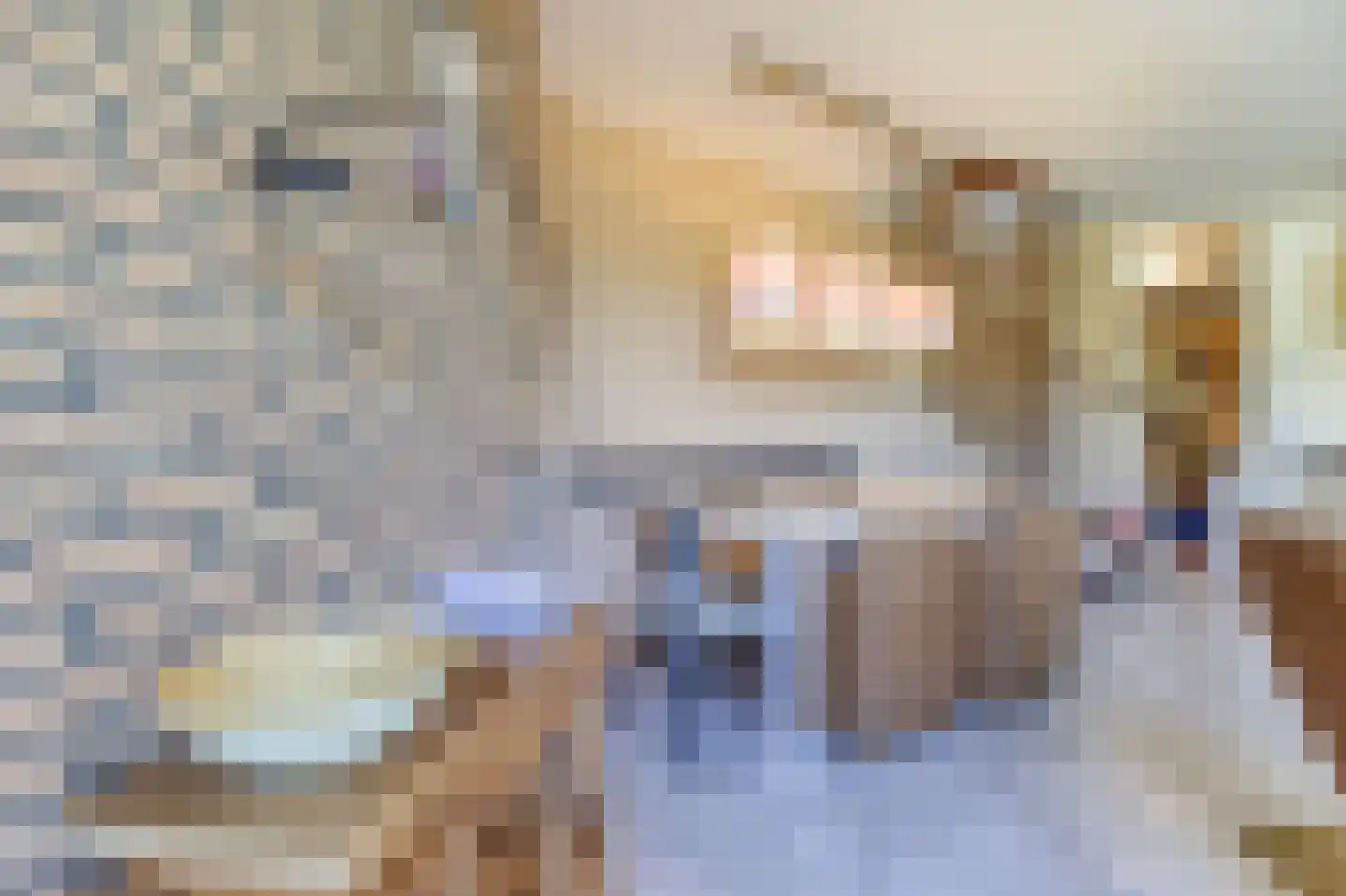 Liguster 77 Nieuwvliet thumbnail 8